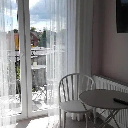 Konik Morski Wladyslawowo-Chlapowo