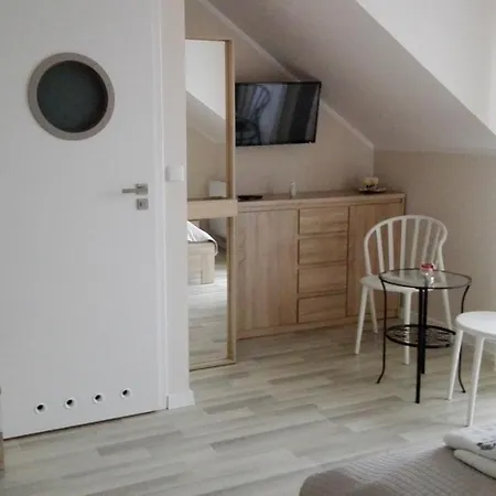 Konik Morski Wladyslawowo-Chlapowo