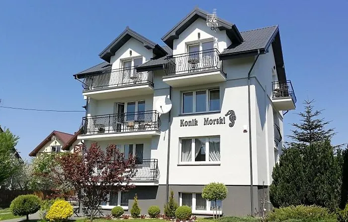 Konik Morski 3* Chłapowo